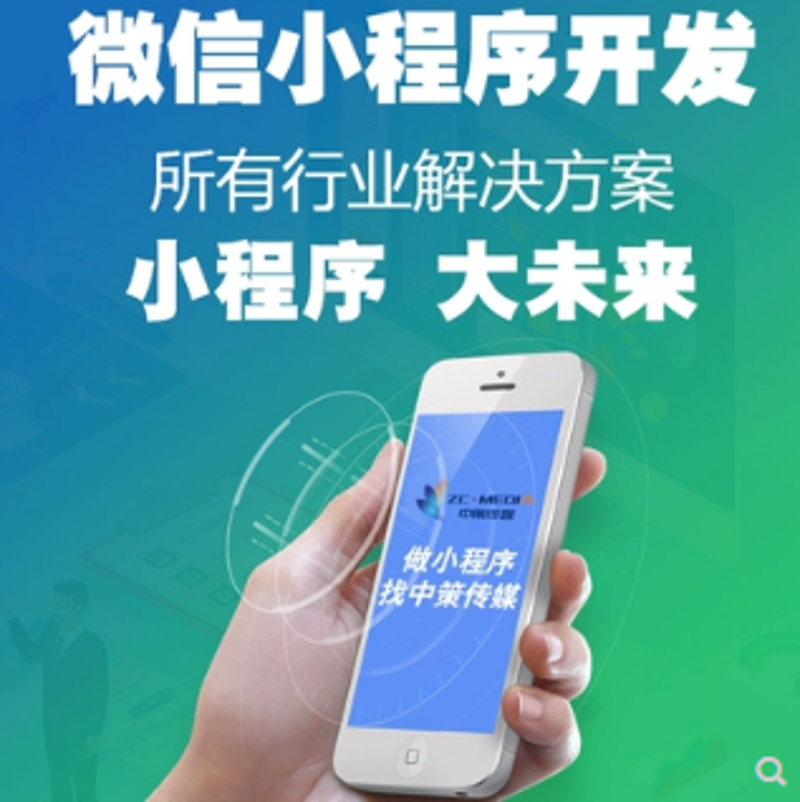 软件定制开发：企业成长的新引擎